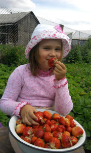"Сладка ягодка" (фото семьи Ковалевых)