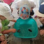 дети знакомятся со свойствами воды